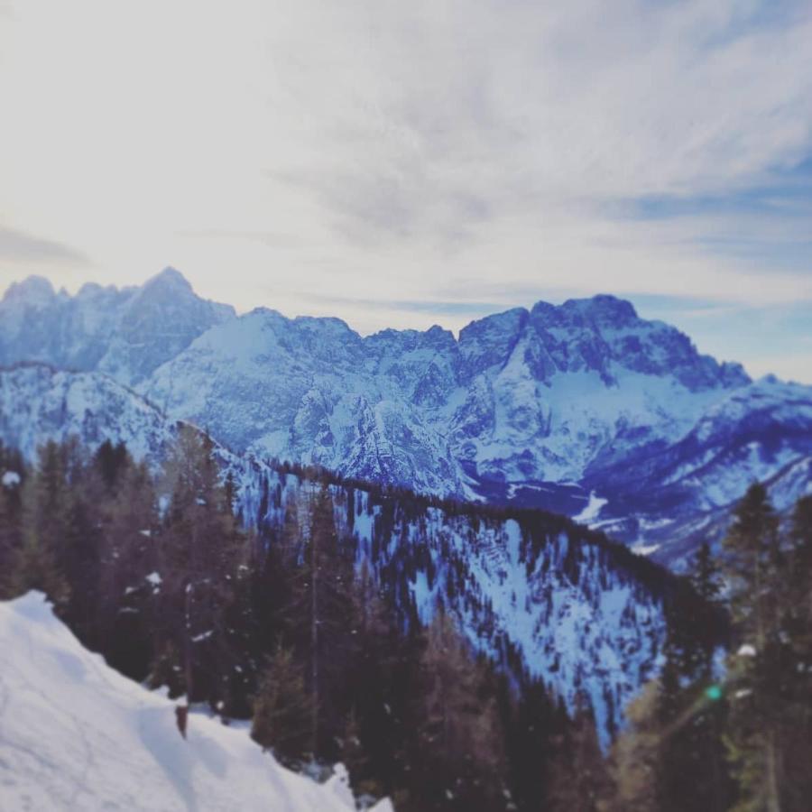 Al Sentiero Di Charly Bed & Breakfast Tarvisio Exterior foto