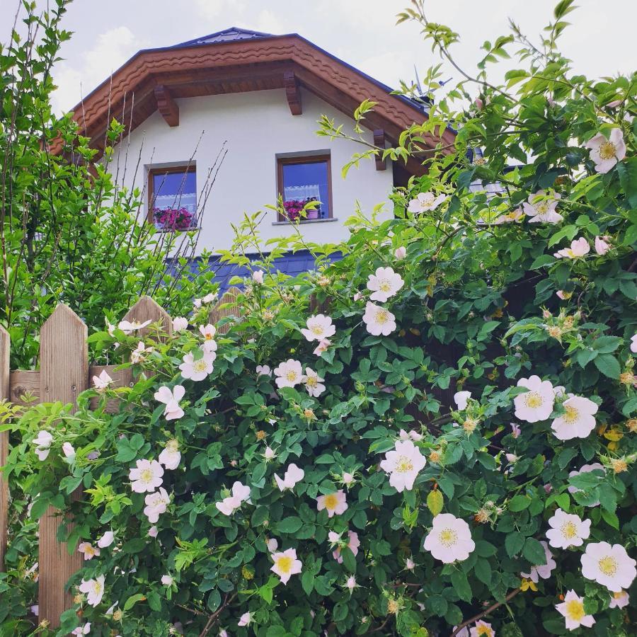 Al Sentiero Di Charly Bed & Breakfast Tarvisio Exterior foto