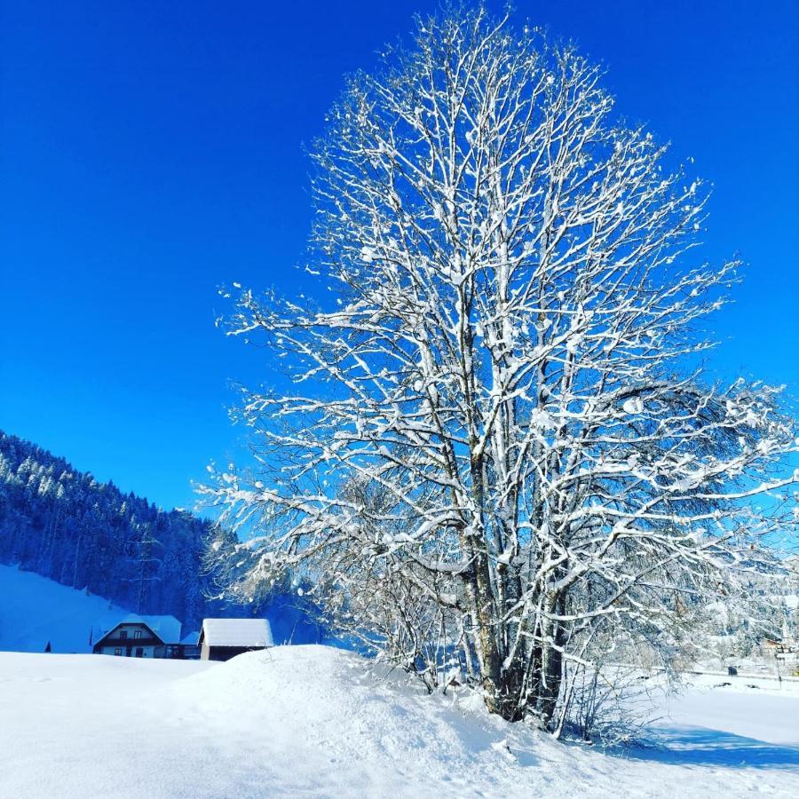 Al Sentiero Di Charly Bed & Breakfast Tarvisio Exterior foto